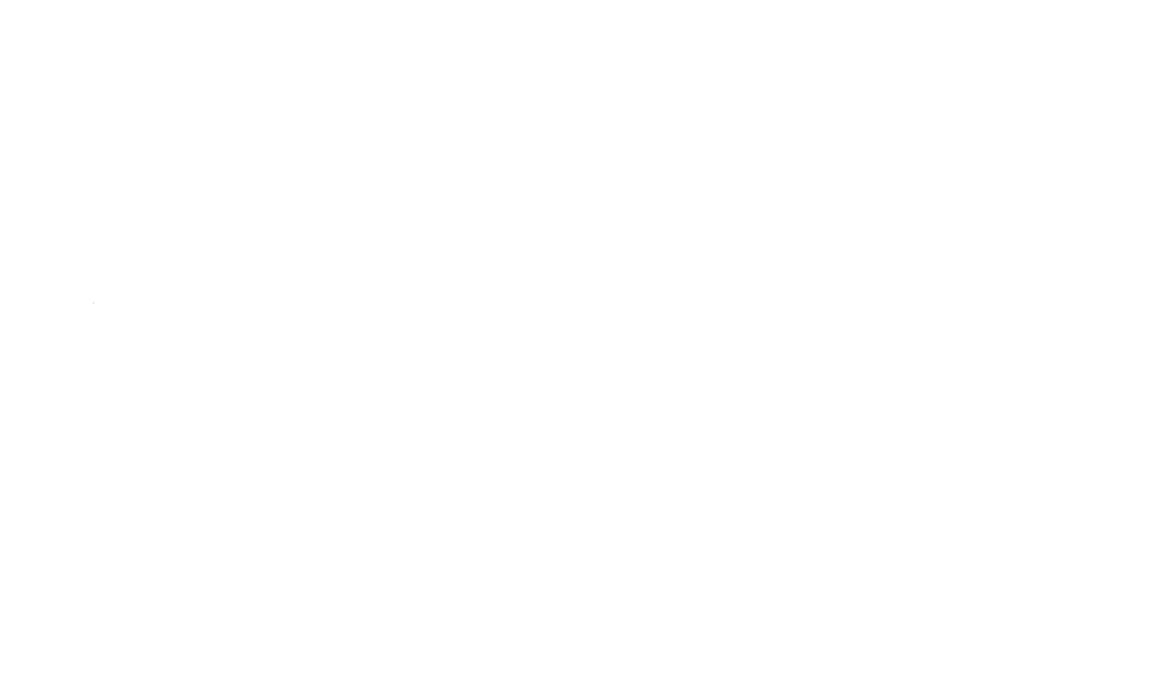 Pvs-schrijnwerk-logo-wit